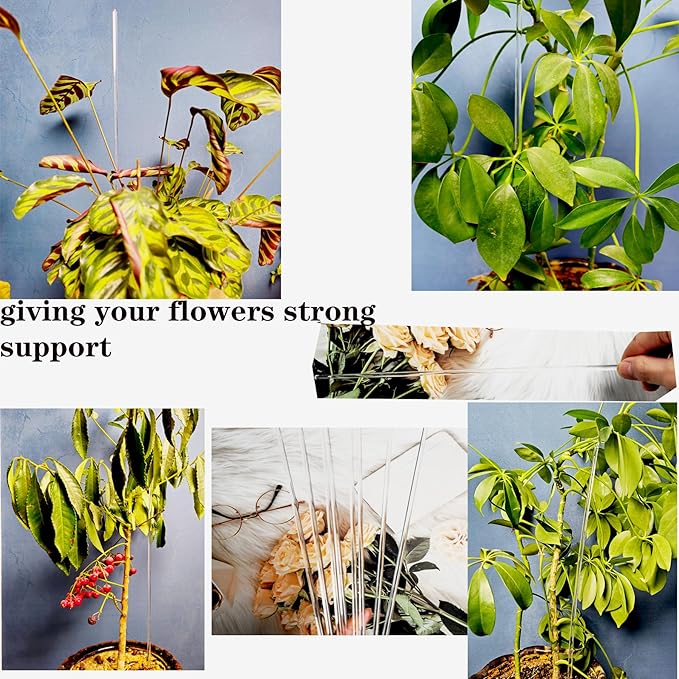 30 Pcs 18 Inch Acrylic Plant Stakes Garden Stakes Clear Orchid Stakes Clear Plant Sticks Potted Plant Christmas Support Stakes for Support Vines Grow Upright Indoor Outdoor Plants