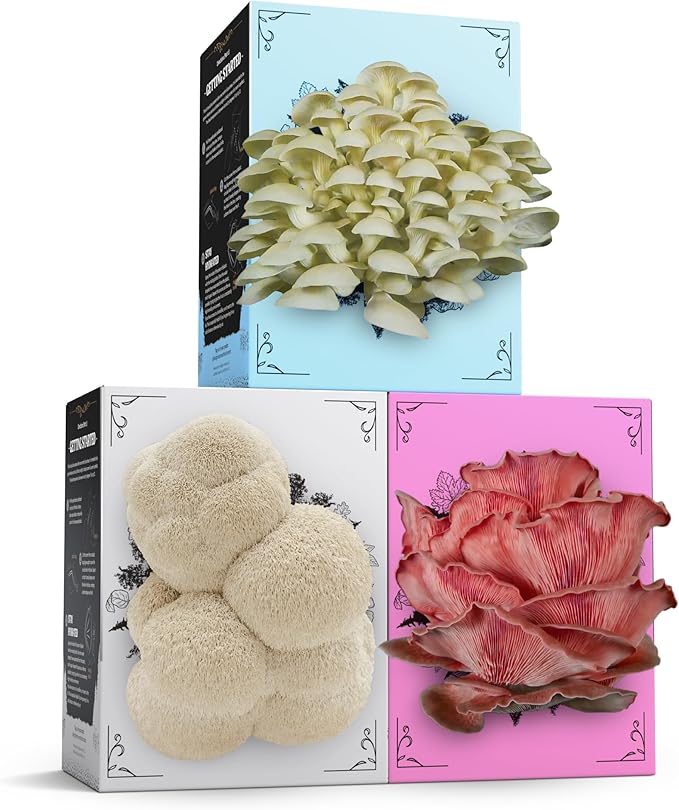 3 Pack Mushroom Grow Kit | USDA Certified Organic | Grow Your Own Delicious Gourmet Mushrooms at Home