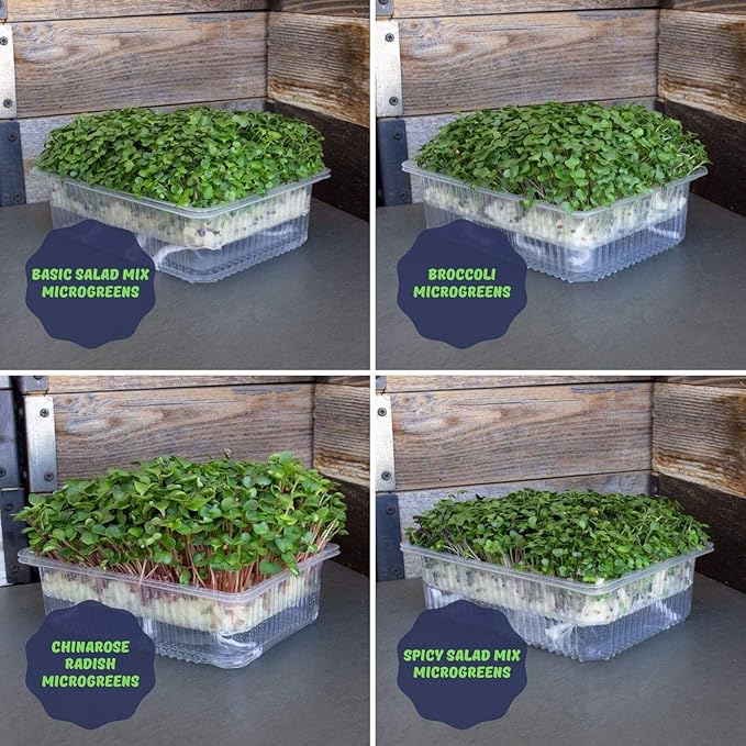 Self Watering Indoor Microgreens Kit - Soil and Hydroponic Combo Pack - Complete Microgreens Growing Kit for Vegetable Seeds & Herb Seeds - Broccoli Seeds, Radish, Chard Seeds, Cilantro Seeds, & More