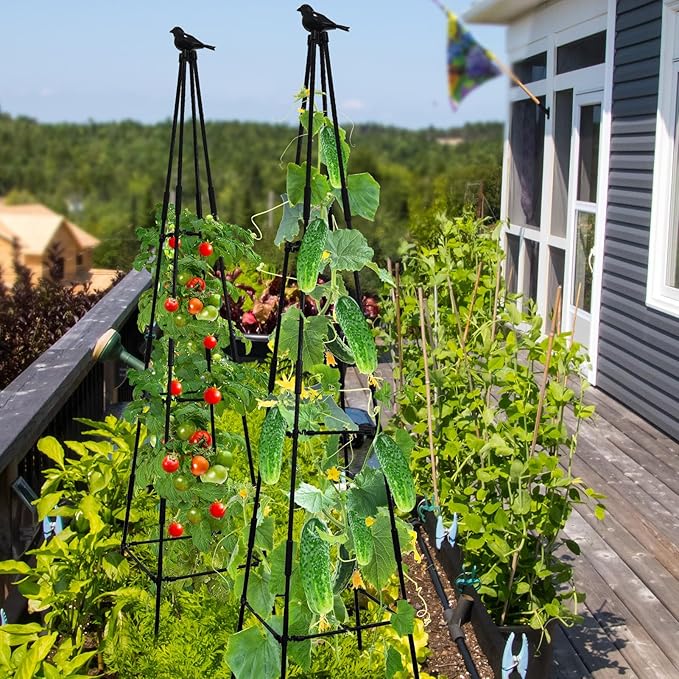 Lalahoni Garden Trellis for Climbing Plants, 67inch Tall Garden Obelisk Trellis for Climbing Potted Plant Outdoor Support Vine Flower Rose Vegetable Tomato Cucumber Trellis, Lightweight, 2 Pack