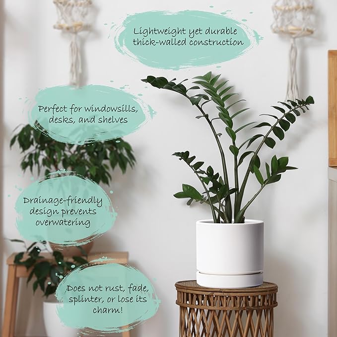 Phoenix Vine 8 Inch Planter Pot with Drainage Hole & Saucer, Deep Water Catch Tray, Straight Cylindrical Round Pot for Plants, Matte White, Pack of 2, 23-B-T-2