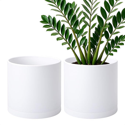 D'vine Dev 2 Pack 10 Inch Modern Plastic Plant Pots, Cylindrical Garden Planters for Plants with Drainage Holes and Saucers, White, 74-Z-N-1