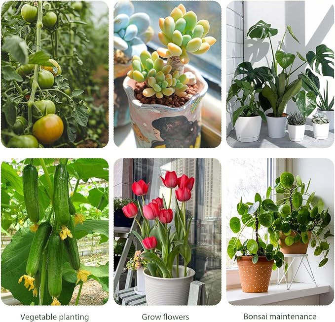 5 Pack Stackable Monstera Plant Support, 2025 New Plant Stakes for Indoor and Outdoor Plants Use, Garden Stakes for Climbing and Potted Plants, Pothos, Philodendron (5 Pack)