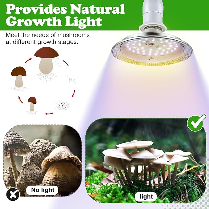 Meonum Mushroom Grow Light with 3/6/9 Hour Timer, 360° LED Hanging Grow Lights Bulb for Mushroom with 6.5ft Extension Cord, 6000K Blue&5000K White Lamp for Indoor Plants Growing Kit Supplies (1 Pack)