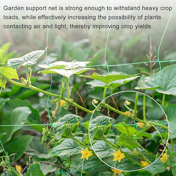 HARFINGTON Trellis Netting for Climbing Plants 29.5ft x 4.9ft 1 Strand Heavy Duty Garden Polyester Plant Support Net with 6"x6" Mesh for Fruits Vegetables Cucumber, White
