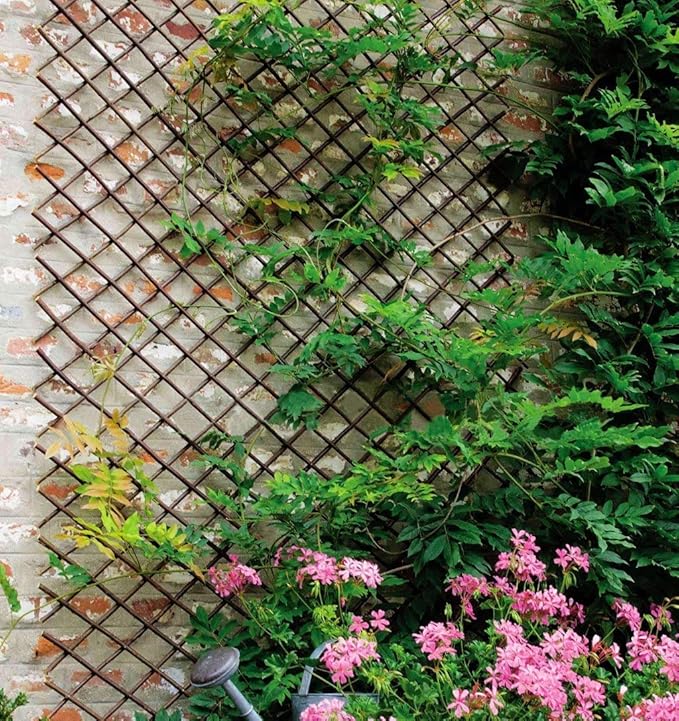 Nature Willow Trellis Expandable Plant Support Plant Climbing Lattices Trellis Willow Expandable Trellis Fence for Climbing Plants Support 36x92 Inch,Double Panel (4, Willow Wicker Fence)