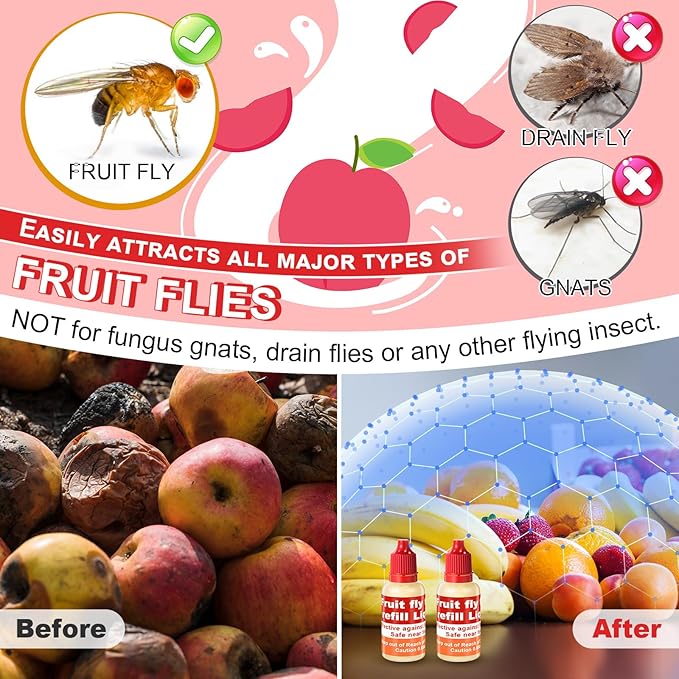 Qualirey Fruit Fly Trap for Indoors, 4 Pack Fruit Fly Trap with 4 Refill Liquid and 60 Yellow Sticky Pads, Safe Near Pets, Food and Kids, with Lure Refill Liquid for Home Kitchen (Red)