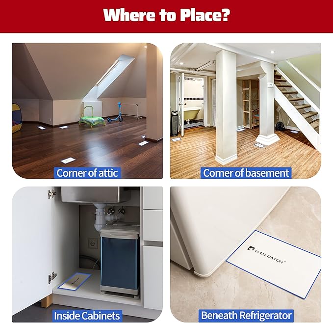 LULUCATCH Cricket Insect Glue Traps - 6 Pack Bug Cockroach Sticky Traps, Large Spider Trap with Pre-Baited Attractant, Highly Effective Glue Boards Indoor, Non-Toxic Pet Safe Pest Control