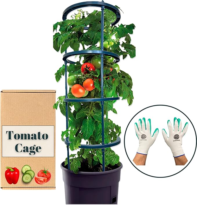 Small Tomato Cage for Pots Mini Tomato Cage Trellis 9'' Each 36'' in Total with Gloves