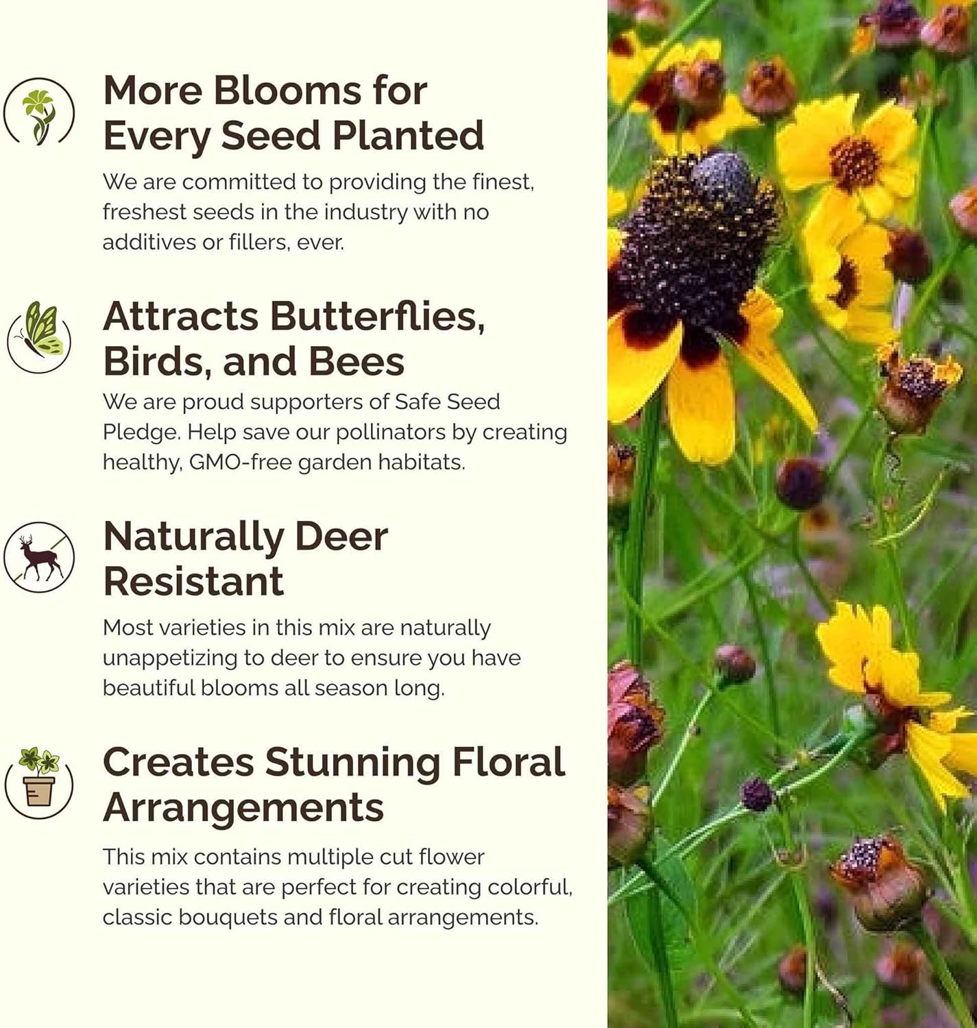 Eden Brothers Conehead Flower Mixed Seeds for Planting, 5 lb, 2,400,000+ Seeds with Prairie Coneflower, Mexican Hat | Attracts Pollinators, Plant in Spring or Fall, Zones 3, 4, 5, 6, 7, 8, 9, 10