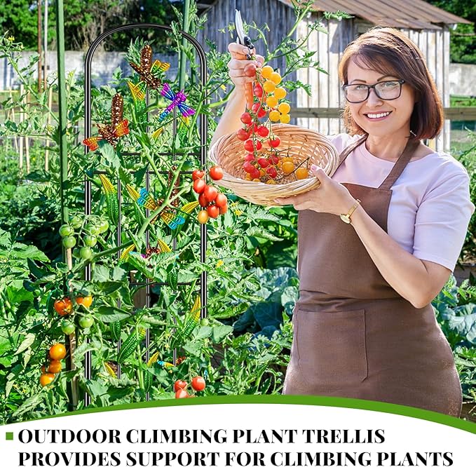 2 Pack Garden Trellis for Climbing Plants Outdoor, Metal Arched Fence Trellis Plant Climbing Support Decorative, Plant Trellis Indoor for Vines Flowers Vegetables Wall Brackets, 60" x 11"