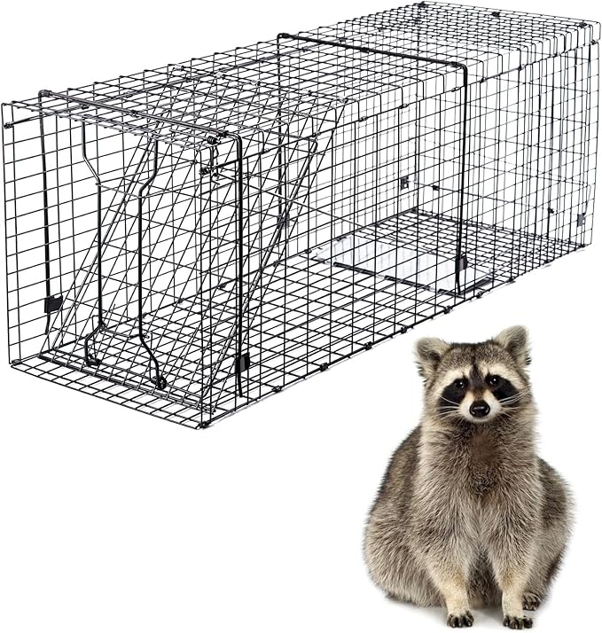 Heavy Duty Live Trap 37x13x14.5 Inch Steel Collapsible with Humane Trap Release Door for Stray Cats, Raccoons, Skunks, Groundhogs, Armadillos and Other Live Animals.