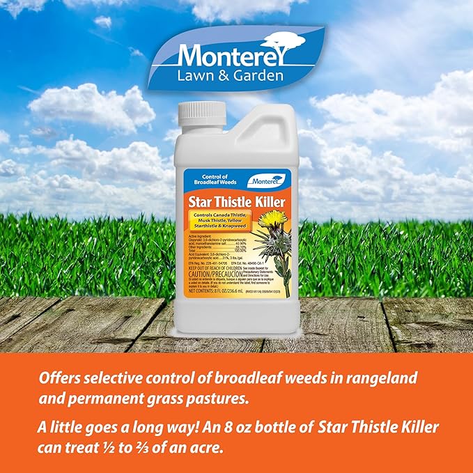 Monterey LG5468 0.5 PT Star Thistle, 8 Ounce