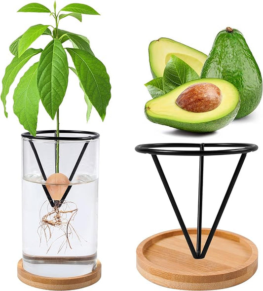 Bylion Avocado Tree Growing Kits, Avocado Growing Vase Wooden Base Avocado Seed Starter Vase Glass Plant Pot Easy Seed Sprout Starter Gift for Women Gardening Lovers Home Office Table Decoration