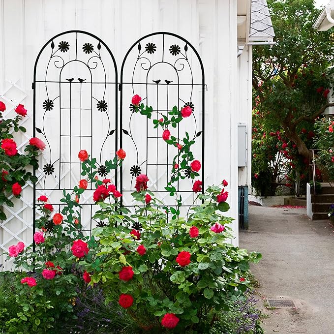 2 Pack Metal Garden Trellis for Climbing Plant Rose Stand, Black Outdoor 71'' Tall Flower Support Iron Garden Fence (Black 71''H