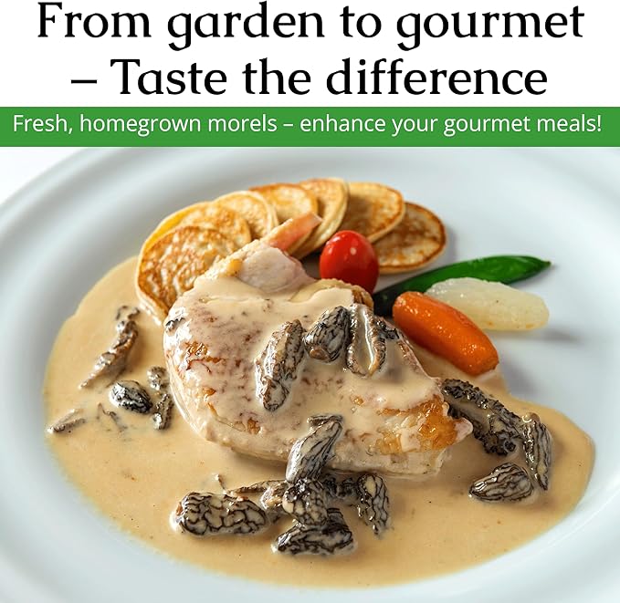 MOREL HABITAT KIT® Morel Mushroom Growing Kit (Morchella esculenta), Compatible with Any Soil Type Across The U.S., Outdoor Garden & Backyard Cultivation Set with Full Instructions - Made in The USA