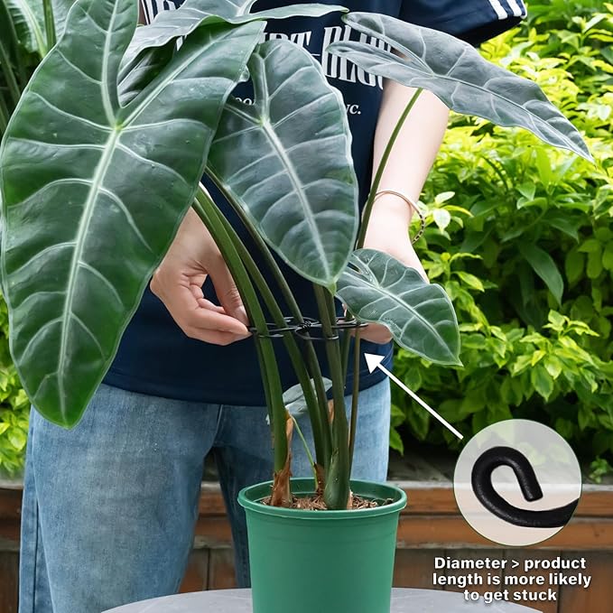 Monstera Plant Support Hook - 4.1x4.1IN 5PCS, Durable Adjustable Stem Support System, Gentle Protection for Monstera and Fishbone Cactus, Professional Indoor Plant Stabilizer