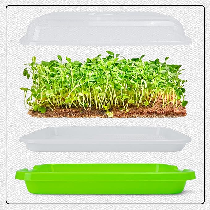 Microgreens Growing Trays with Lids and Coconut Fiber Mat,Seed Sprouter Tray with Drain Holes,Seed Starter Tray Reusable,Microgreens Growing Trays,Cat Grass Growing Kit for Indoor Cats (Pack 5)