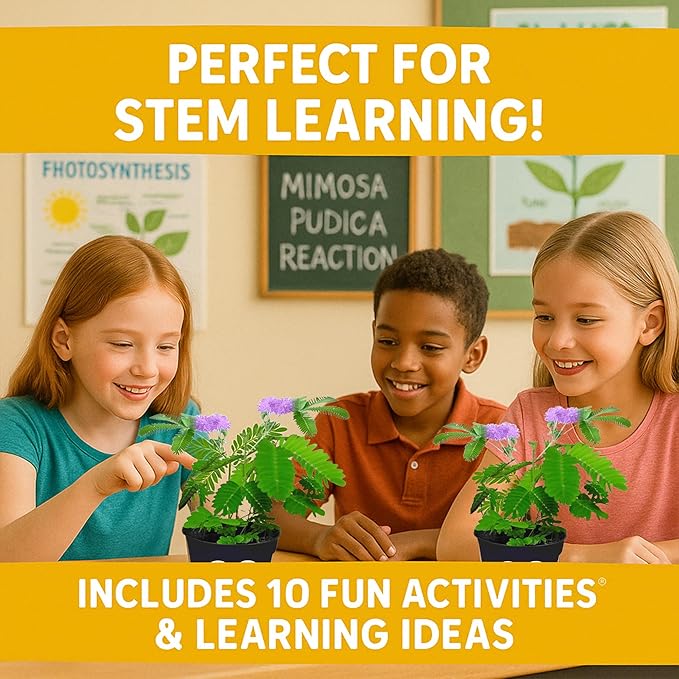 TickleMe Plant Classroom or Homeschool Science Fun Planting Party Kit – for 30 Students – Grow a Sensitive Plant That Reacts to Touch – Includes Activity Book and Seeds for Kids to Plant