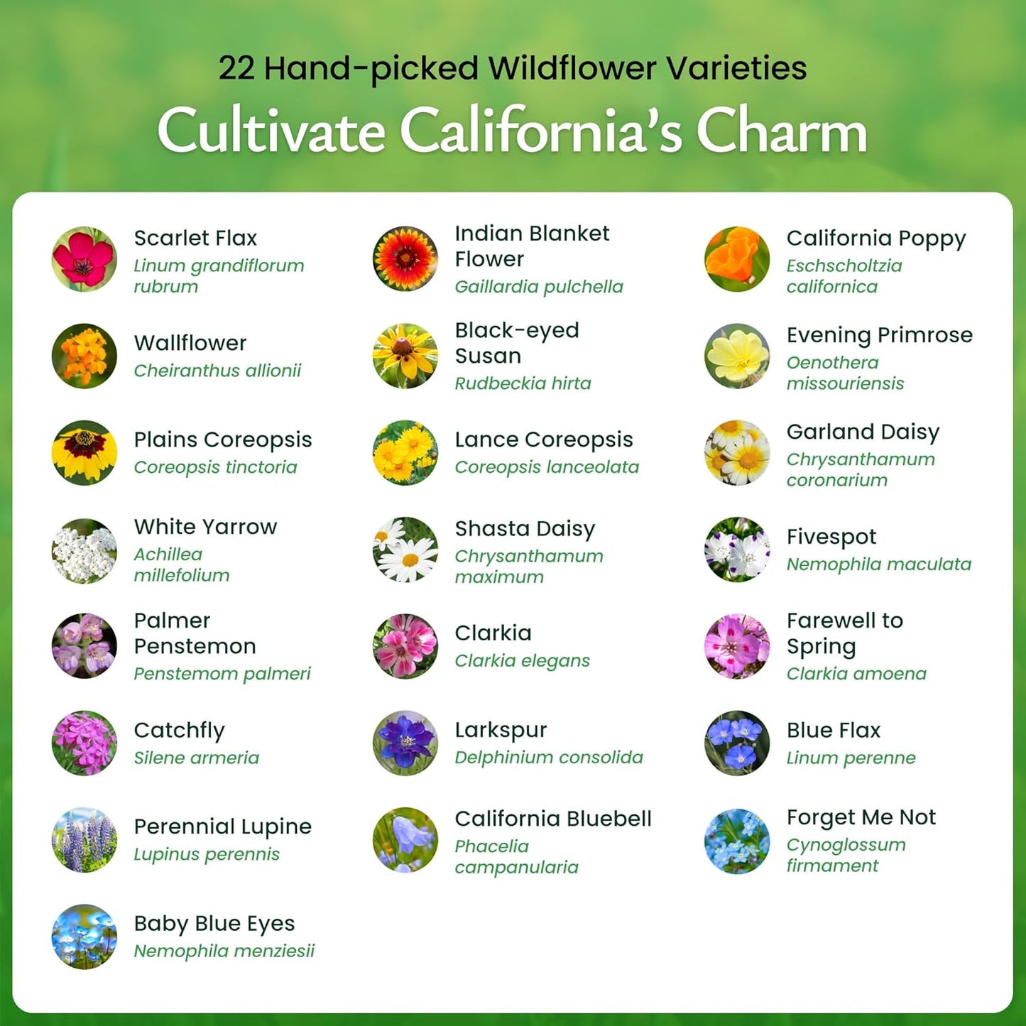 Created By Nature California Wildflower Seed Mix with Poppies, 22 Flower Varieties, 54,000+ Seeds