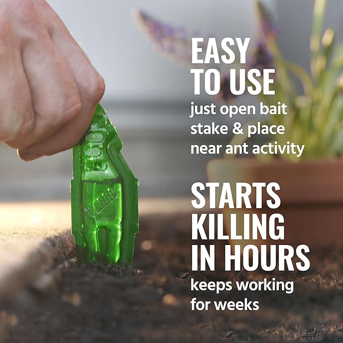TERRO Liquid Ant Baits - T1813B - Outdoor Ready-to-Use Terro Ant Traps, Kills Household Ants, 12 Stakes