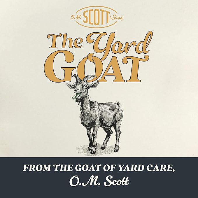 O.M. Scott and Sons Tall Fescue Blend Grass Seed, Fertilizer and Soil Improver, Naturally Crowds Out Weeds, Covers Up to 2,000 sq. ft., 8 lbs., 2-Pack