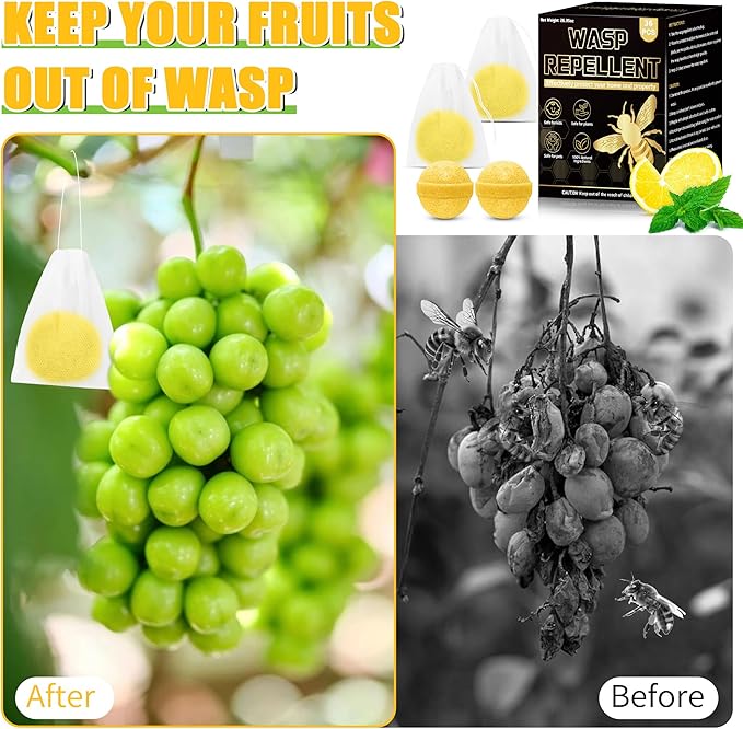 36PCS Wasp Repellent Balls, Natural Peppermint Oil Bee Repellent for Indoor Outdoor Home Kitchen, Natural Pest Control, Repels Bee, Yellow Jacket, Hornet, Wasp, Safe for Pet Kids