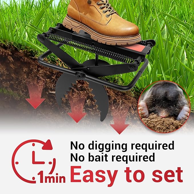 Mole Traps That Kill Best, 2 Pack Scissor Mole Trap, Sleek Black Stainless Steel Finish