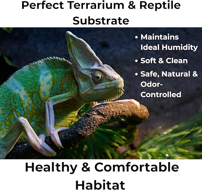 Peat Moss for Plants – Organic Sphagnum Peat Moss for Orchids, Terrariums, Seed Starting, Reptiles & Potting Soil Mix (30 quarts)