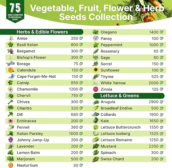 Medicinal & Tea Herb Seeds Variety Pack for Indoor & Outdoors - 75 Variety Pack. Non-GMO Heirloom Garden Seeds: Rosemary, Cilantro, Basil, Oregano, Parsley, Dill, Lavender, Catnip, Dill, Calendula