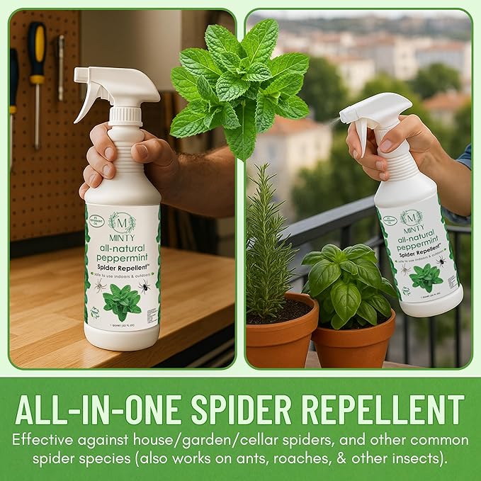 Minty Spider Repellent, Natural 5% Peppermint Oil Spray, Kills & Deters All Types of Spiders and Insects, Indoor and Outdoor Use, 128 fl oz Gallon