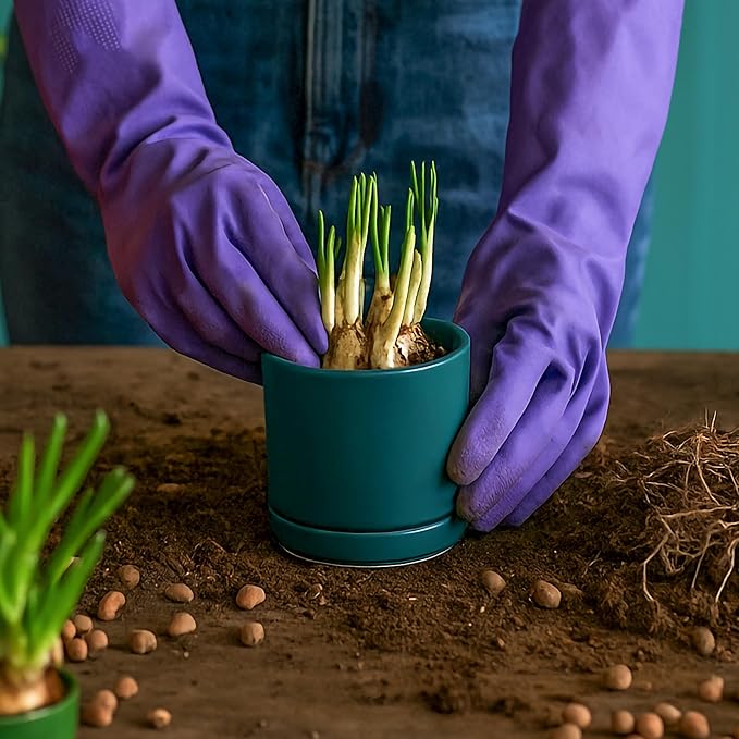 D'vine Dev Set of 2 Plants Pots, 3.5 Inch Ceramic Planter Pot for Plants with Drainage Hole and Saucer, Teal, 94-V-A-9