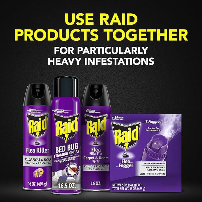 Raid Bed Bug Foaming Spray, Kills Bed Bugs and Their Eggs, for Indoor Use, Non-Staining, Keeps Killing for Weeks, 16.5 oz (Pack of 1)