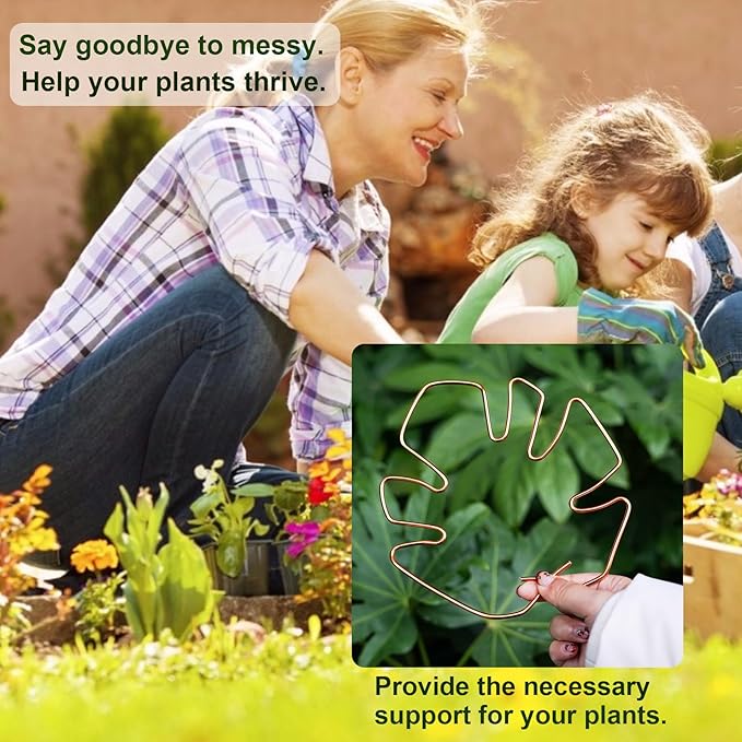 6PCS Monstera Plant Stem Support, Monstera Stabilizer Grapple Holder Unique Design for Turtle Shell Bamboo Clamp Set, Ideal Plant Support Stakes for Thriving Growth Indoor Climbing Plant (Copper)