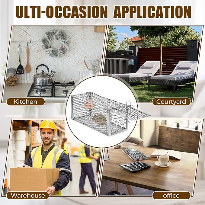 Qualirey 6 Pcs Humane Rat Trap Small Chipmunk Mouse Squirrel Cage Rodent Animal Voles Hamsters Cage Catch and Release Trap for Home Garden Indoor Outdoor (Silver,10.6 x 5 x 5 Inch)