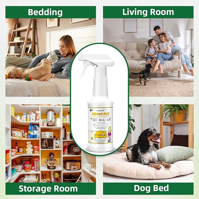 Bed Bug Spray 16 Oz, 100% Kill Efficacy, Indoor & Outdoor Bug Control for Bug Egg, Mite, Ant, Spider and Flea, Plant Extract Based Non Toxic Bed Bug Killer, Child & Pet Safe