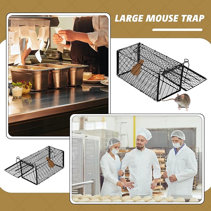 Qualirey 6 Pcs Humane Rat Trap Small Chipmunk Mouse Squirrel Cage Rodent Animal Mice Voles Hamsters Cage Catch and Release Trap for Home Garden Indoor Outdoor(10.6 x 5 x 5 Inch)