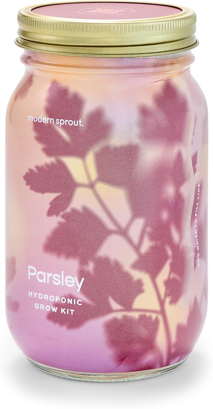 Modern Sprout Mason Garden Jar - Self-Watering Hydroponics Growing System Kit with Organic Herb Seeds - Jar Planter for Indoor Herb Garden - Seed Starter Kit - Home Decor & Gifting - Parsley