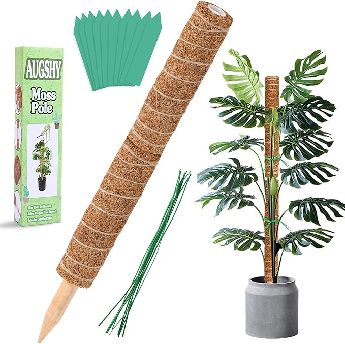 Augshy Moss Pole - 20 Inch Coir Totem for Monstera Climbing Indoor Creepers Plant Support Extension (2 Pieces, 12 Inch Each)