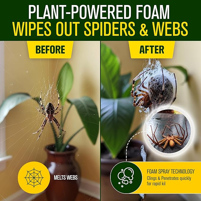 Green Guard Pest Control Spray - Indoor & Outdoor Killer of Ants, Roaches, Spiders & Other Crawling Insects, Safe Around Children & Pets, Plant-Based, Pleasant Scent (Lemongrass Blast, 16oz)