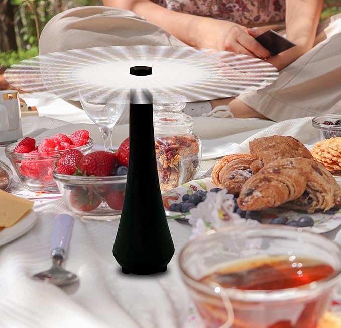 Fly Swatter for Outside/Inside Meal, Picnic, Barbeque, Events - Battery Operated Food Spinning Fan (Black Color, 2pcs)