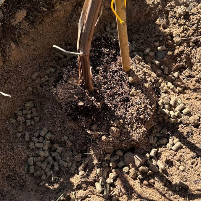 Natural Soil Amendment for Outdoor Gardens, Raised Beds & Indoor Plants - Organic Soil Additive Fertilizer for Plant Growth and Moisture Retention 1 Lbs