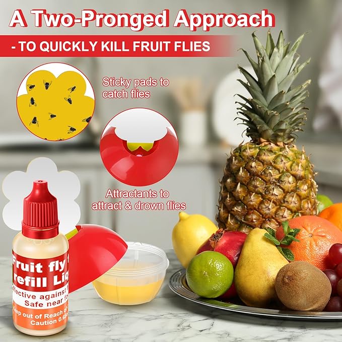 Qualirey Fruit Fly Trap for Indoors, 4 Pack Fruit Fly Trap with 4 Refill Liquid and 60 Yellow Sticky Pads, Safe Near Pets, Food and Kids, with Lure Refill Liquid for Home Kitchen (Red)