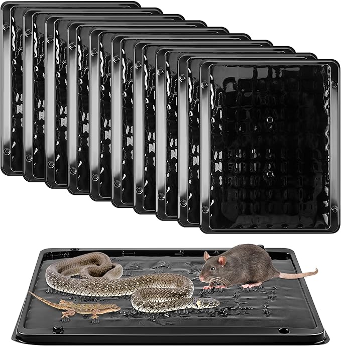 Qualirey Jumbo Rat & Mouse Glue Traps, 11.8 X 9.84 in Large Heavy Duty Mouse Traps Indoor for Home, Pre Scented Adhesive Plastic Tray with for Spider Trap, Snake, Mice, Children and Pet Safe(10 Pack)