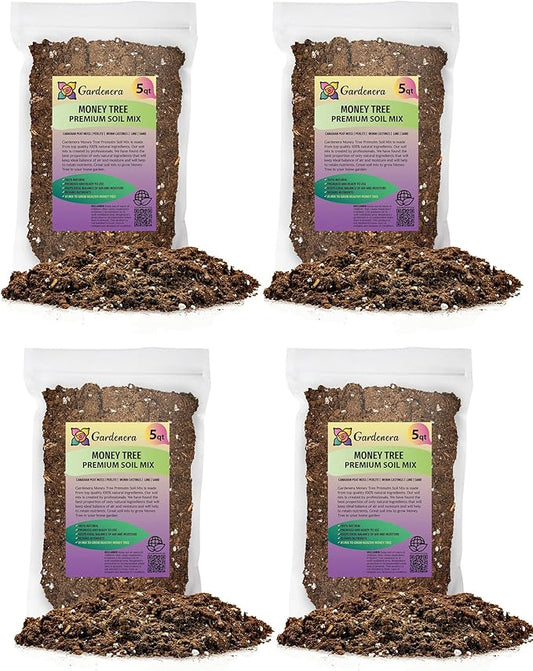 Money Tree Potting Soil - 10 Quart - Soil Mix for Planting or Repotting Guiana Chestnut, Blended Mix to Properly Grow Money Tree Plants (4 Bags of 5 Quart)