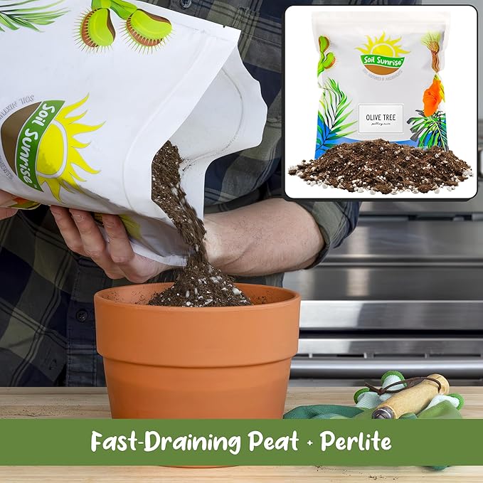 Olive Tree Potting Soil Mix (12 Quarts), for Planting, Repotting, and Growing Olive Bushes/Plants