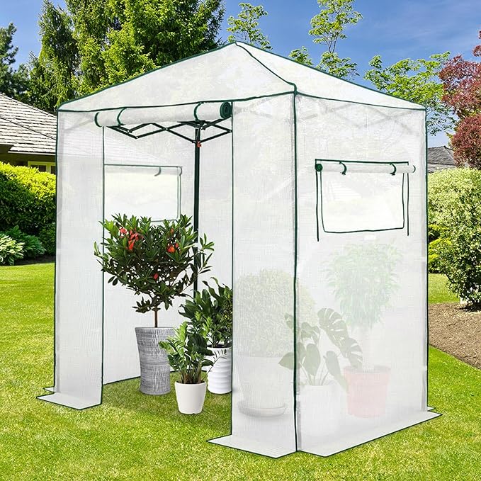 EAGLE PEAK Instant Pop-up Greenhouse, Indoor Outdoor Plant Gardening Green House, Roll-Up Zipper Doors and Side Windows, Walk in 6x4 ft, PE Cover, White/Clear