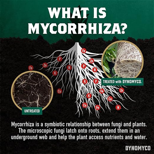 DYNOMYCO Mix 4-in-1 Mycorrhizal Grow Kit for Bigger Yields & Healthier Plants - Includes Concentrated Mycorrhizae, MHB & Bio-stimulants, Premium Coco Coir, and Biodegradable Grow Bags
