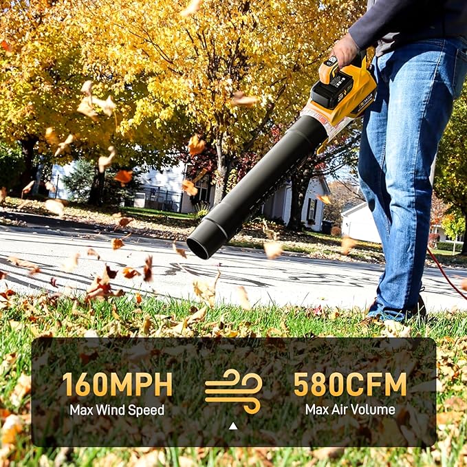 Leaf Blower Cordless, 21V Electric Blower with 2 3.0Ah Battery and Charger - Powered Air Blower 580CFM/160MPH - Lightweight Leaf Blower for Lawn Care, Patio Cleaning, Blowing Leaves and Dust