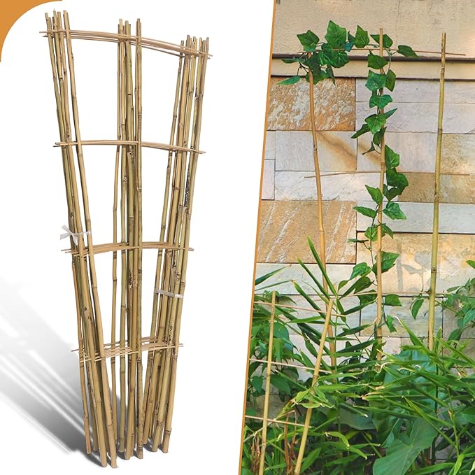 10 Pack 4ft Bamboo Trellis for Climbing Plants-Natural Garden Ladder Trellis, Fan -Shaped Support Trellis for Potted Plant Decor in Door